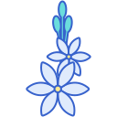 tuberosa icon