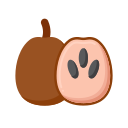 Sapodilla icon