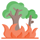 arbol ardiente icon