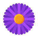 aster icon