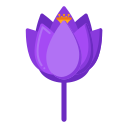 Crocus icon