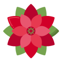 poinsettia 