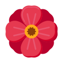 amapola icon