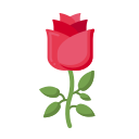 rosa icon