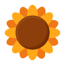 girasol icon