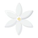 tuberosa icon