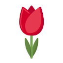 tulipán icon