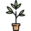 Plant icon