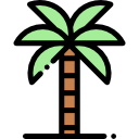 palmera 