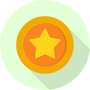 moneda icon