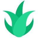 aloe vera icon