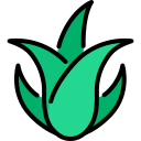 aloe vera icon