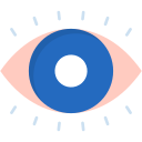 supervisión icon