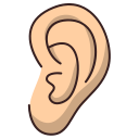 orelha 