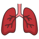 pulmonar icon