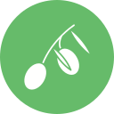 aceituna icon