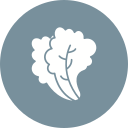 lechuga icon