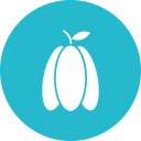 carambola icon