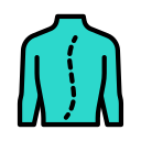 scoliosis icon