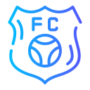 insignia de fútbol