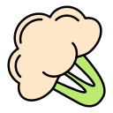 coliflor icon