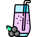 jugo de arándanos icon