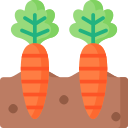 zanahorias icon