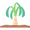 palmera icon