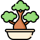 bonsai