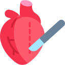 corazón icon