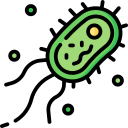 bacterias icon