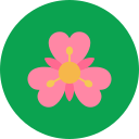 alstroemeria icon