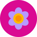 violeta icon