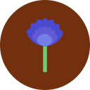 flores de cebollino icon