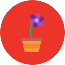 Crocus icon