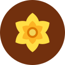 narciso icon