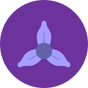 iris icon