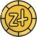 zloty icon