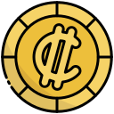 colon icon