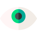 ojo icon