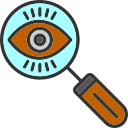 observación icon