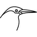 oiseau 