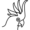 새 