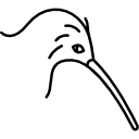 oiseau 