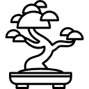 bonsai icon