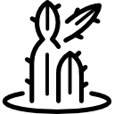 cactus icon