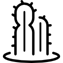 cactus icon