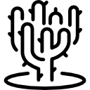 cactus icon