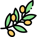 aceituna icon