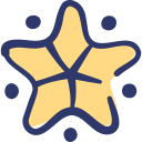 estrella icon